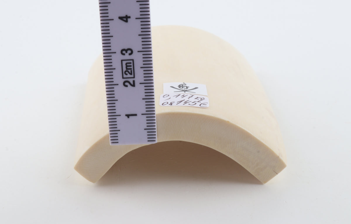 White mammoth ivory segment