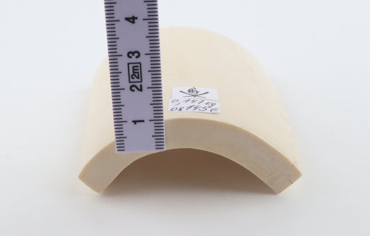 White mammoth ivory segment