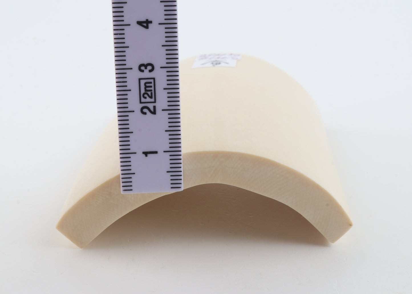 White mammoth ivory segment