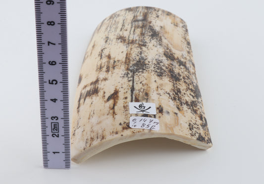 Cream-brown mammoth bark