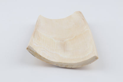 Cream-brown mammoth bark