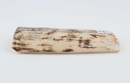 Cream-brown mammoth bark