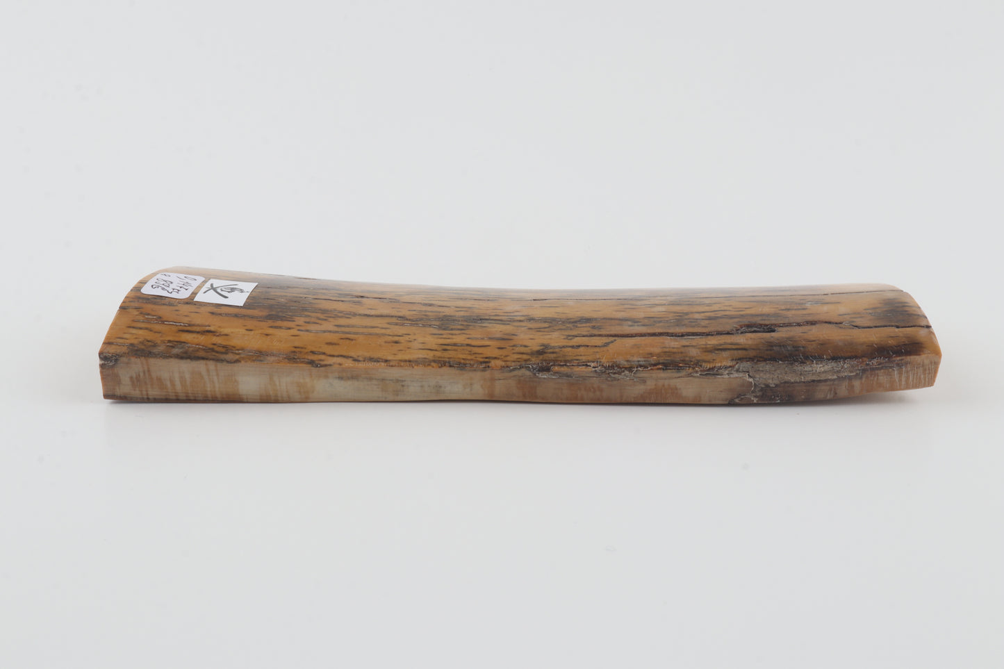 Yellow-black mammoth bark