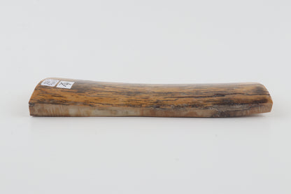 Yellow-black mammoth bark