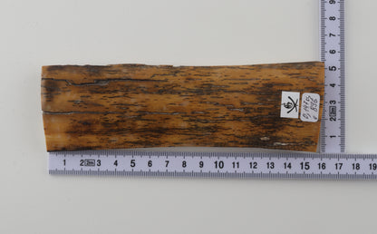 Yellow-black mammoth bark