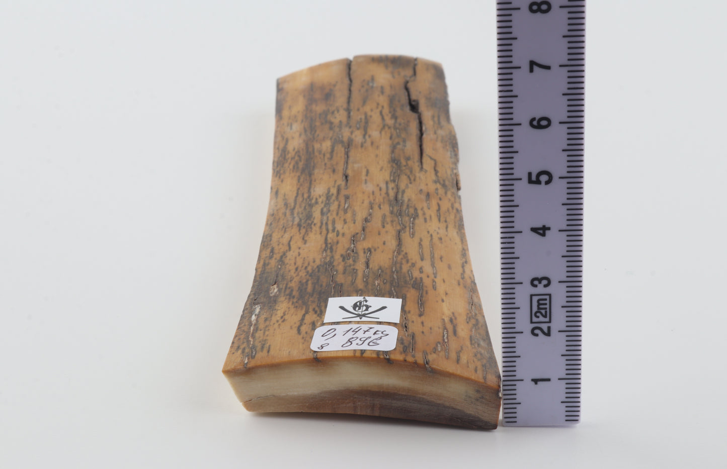 Yellow-black mammoth bark