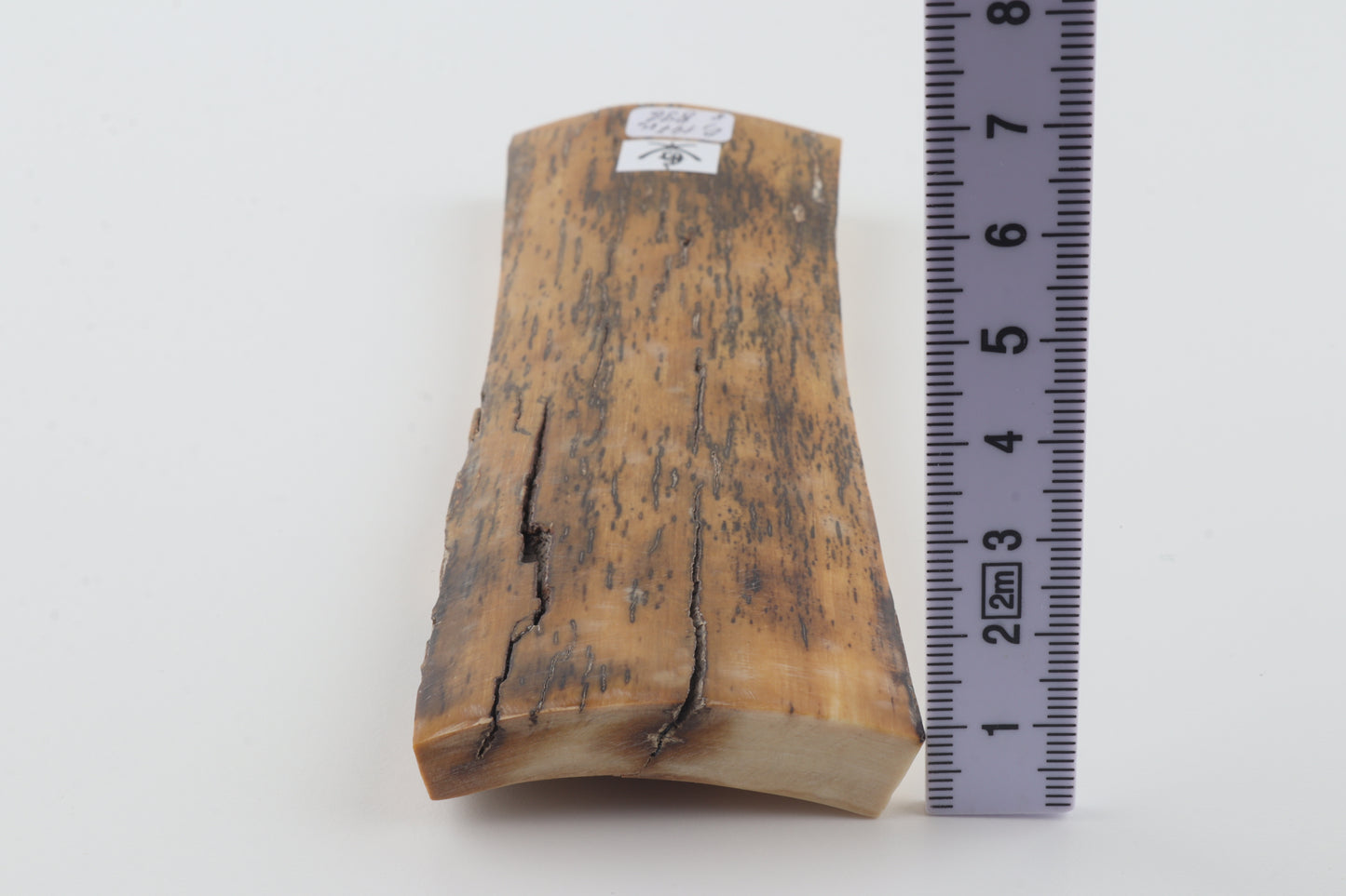 Yellow-black mammoth bark