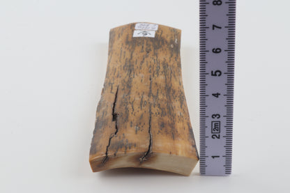 Yellow-black mammoth bark