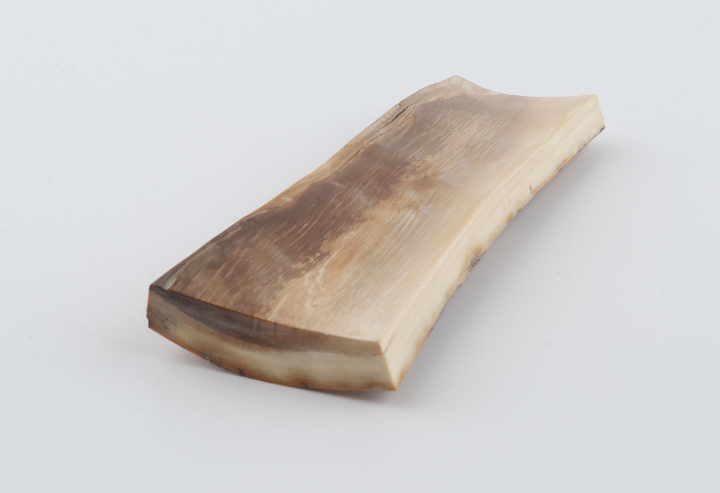 Yellow-black mammoth bark
