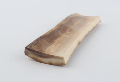 Yellow-black mammoth bark