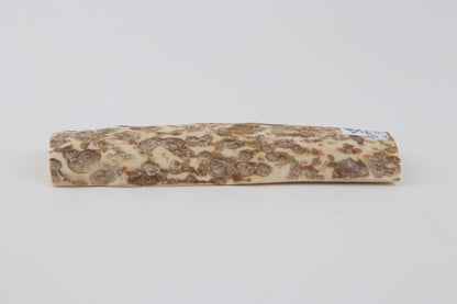 White-beige mammoth bark