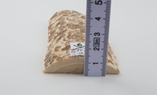 White-beige mammoth bark