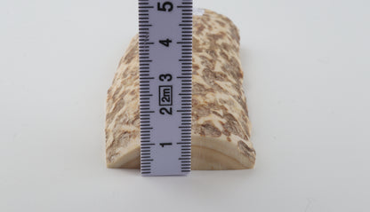 White-beige mammoth bark
