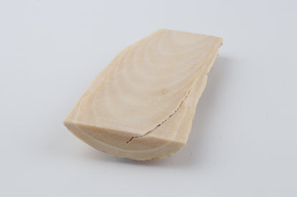 White-beige mammoth bark