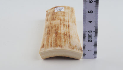 Natural mammoth ivory piece