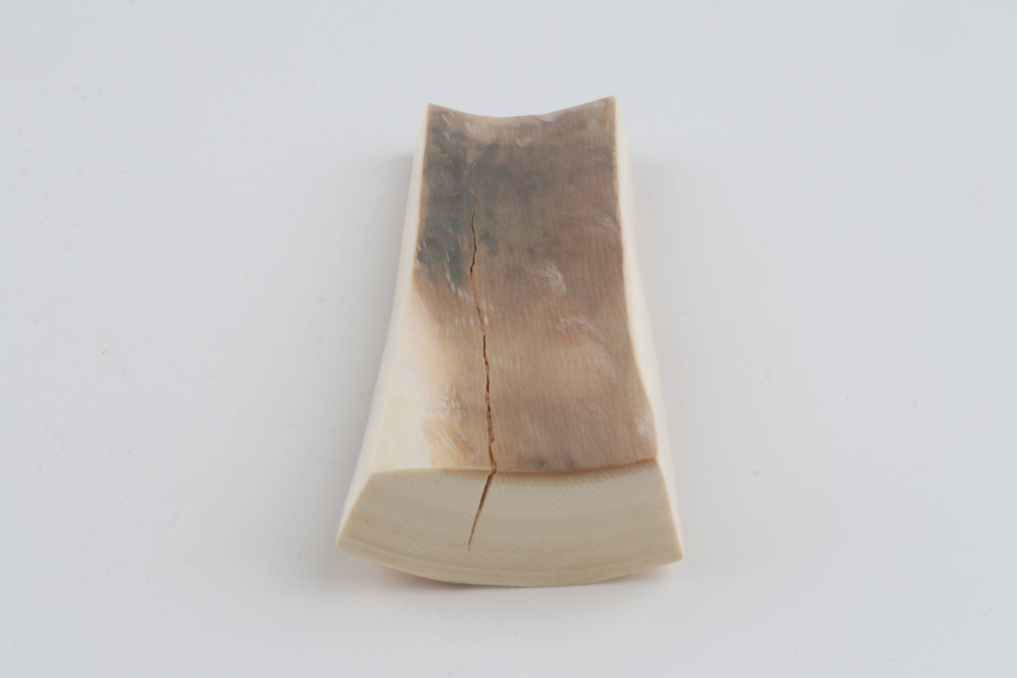 Natural mammoth ivory piece