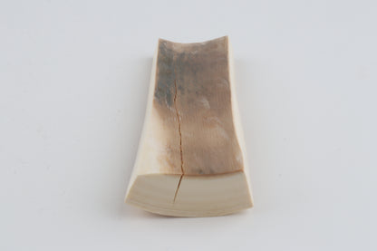Natural mammoth ivory piece