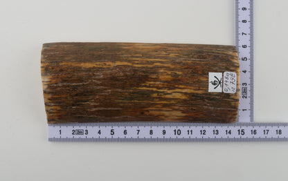 Brown-green mammoth bark