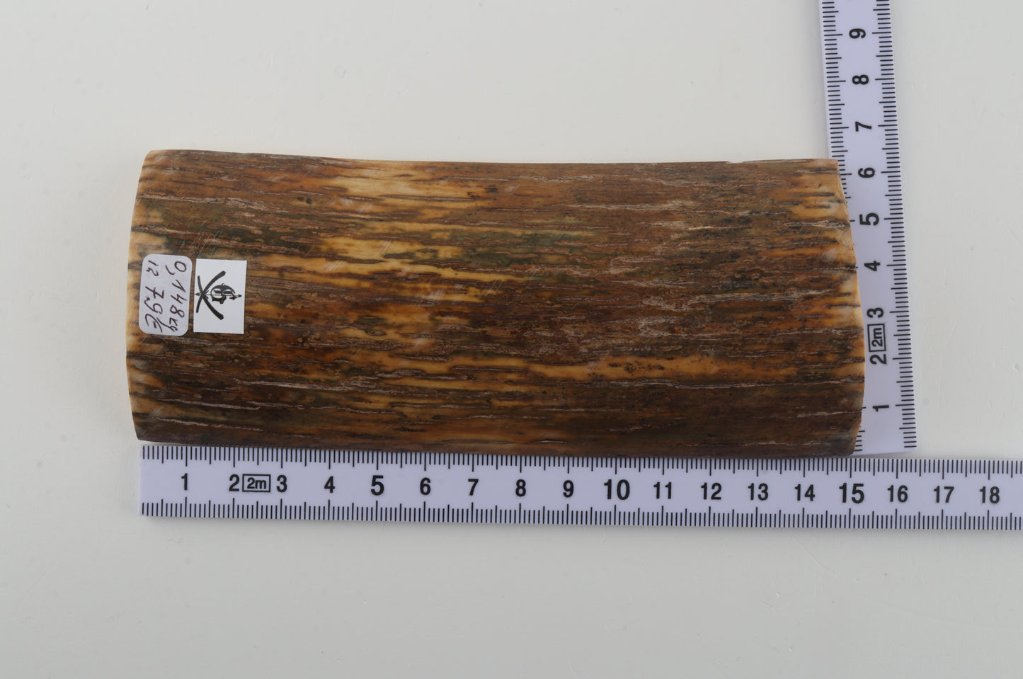 Brown-green mammoth bark