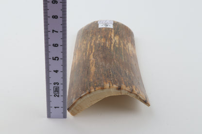 Brown-green mammoth bark