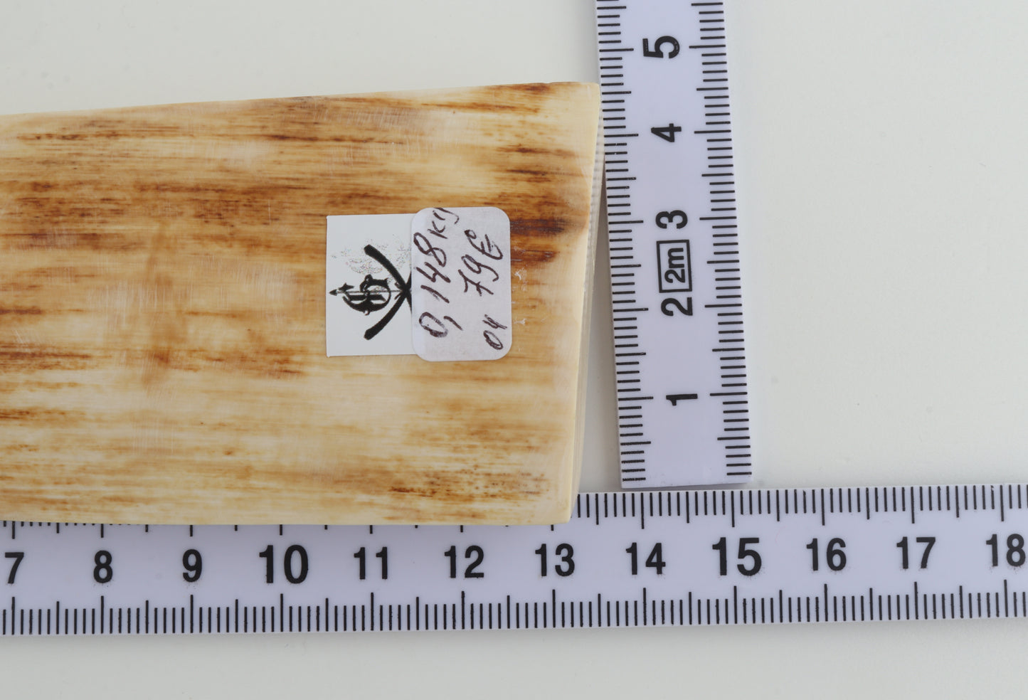 Natural mammoth ivory piece