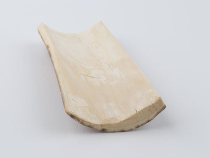 Brown-green mammoth bark