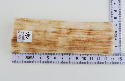 Natural mammoth ivory piece