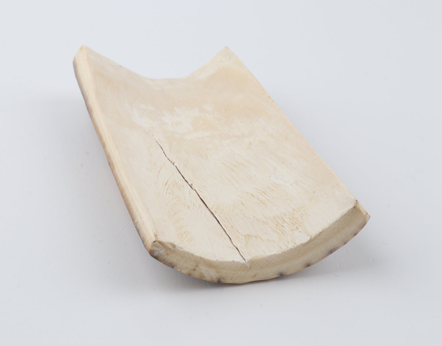 Brown-green mammoth bark