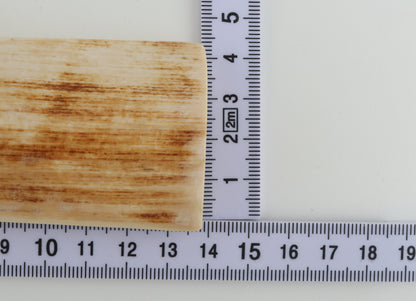 Natural mammoth ivory piece