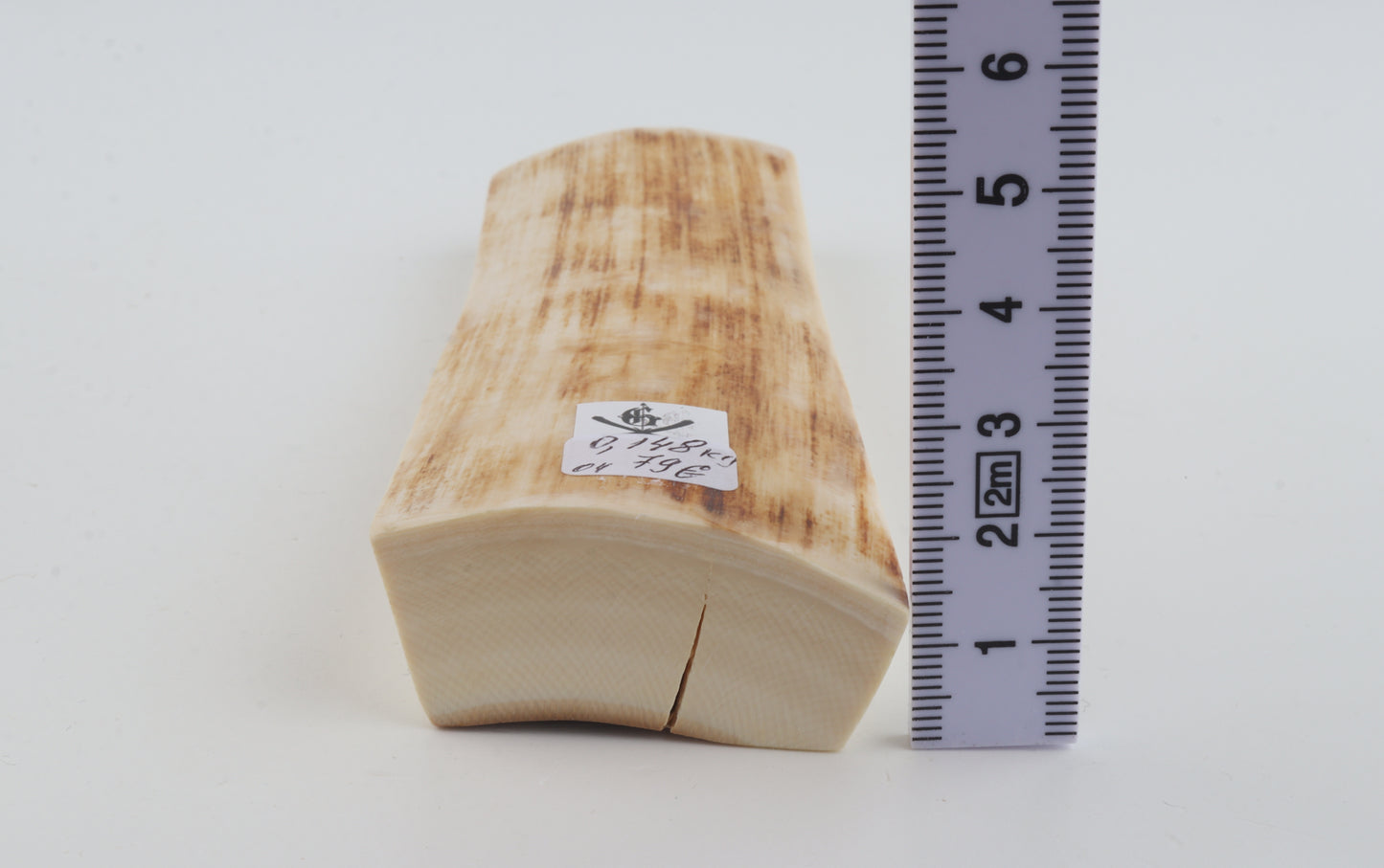 Natural mammoth ivory piece
