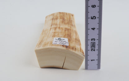 Natural mammoth ivory piece
