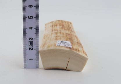 Natural mammoth ivory piece