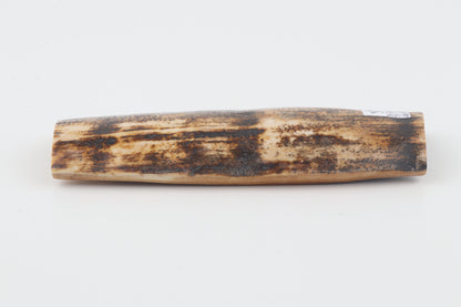 Brown-cream mammoth bark