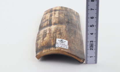 Brown-cream mammoth bark