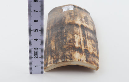 Brown-cream mammoth bark