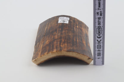 Brown-orange mammoth bark