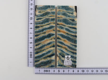 Stabilised mammoth molar scales