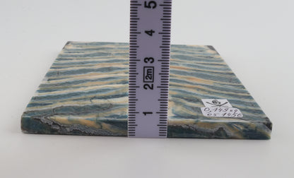 Stabilised mammoth molar scales