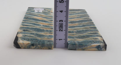 Stabilised mammoth molar scales