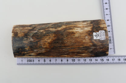 Brown mammoth bark