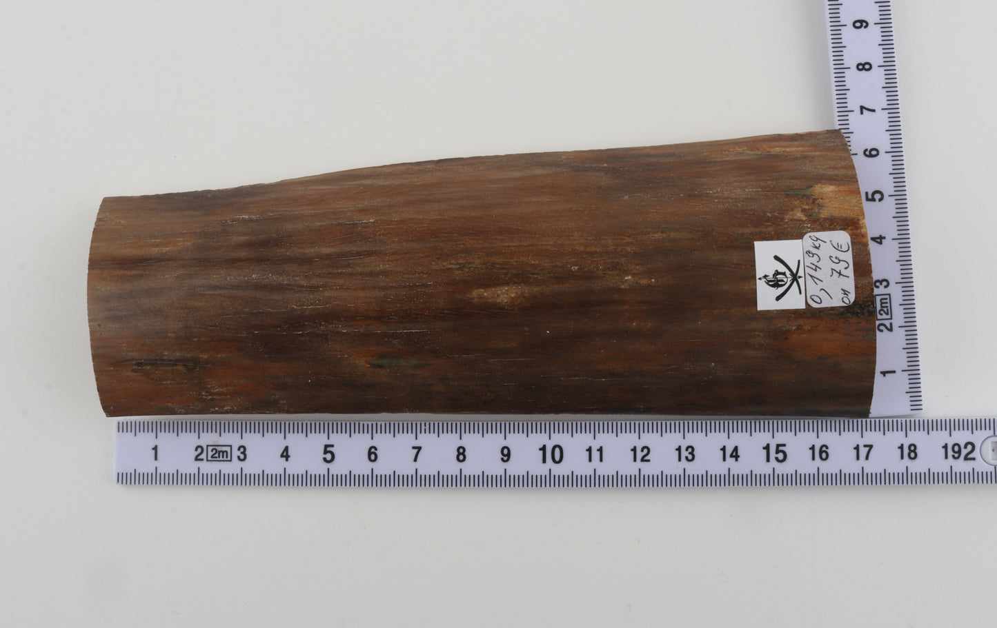 Beige mammoth bark