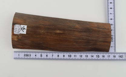 Beige mammoth bark