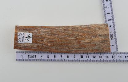 Beige-orange mammoth bark