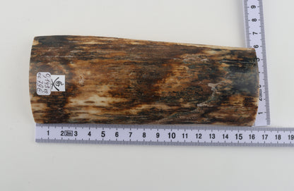 Brown mammoth bark