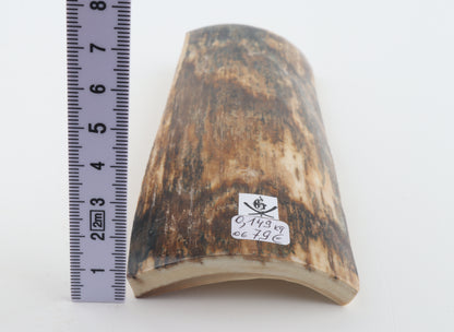 Brown mammoth bark