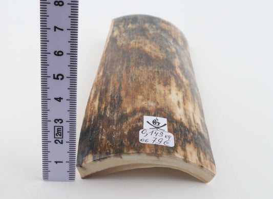 Brown mammoth bark