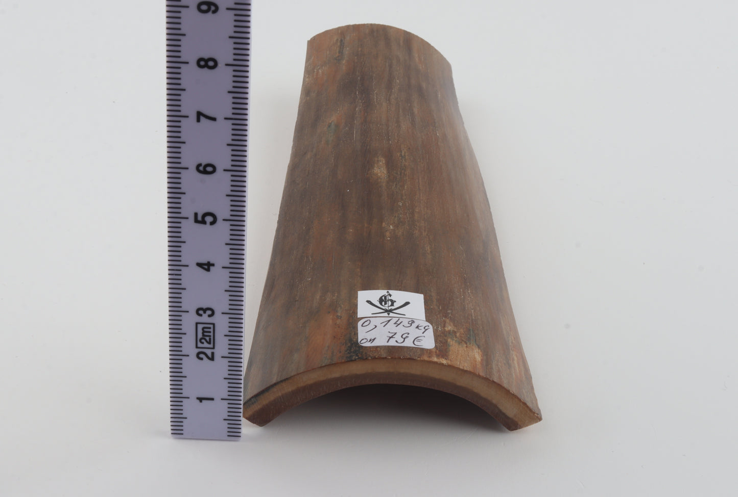 Beige mammoth bark