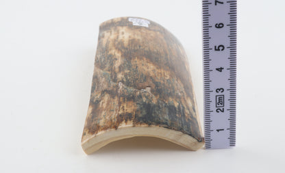 Brown mammoth bark