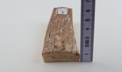 Beige-orange mammoth bark