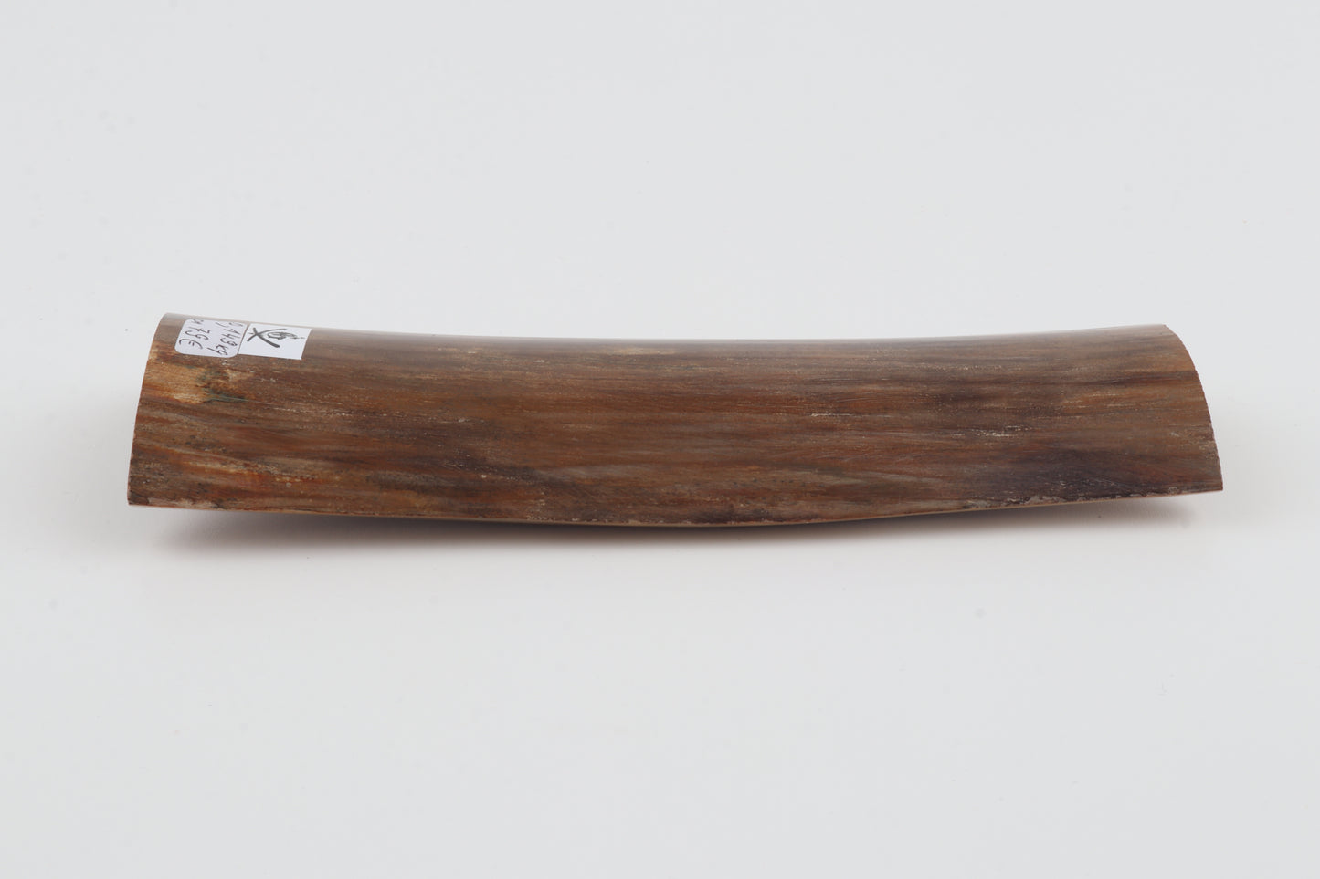 Beige mammoth bark